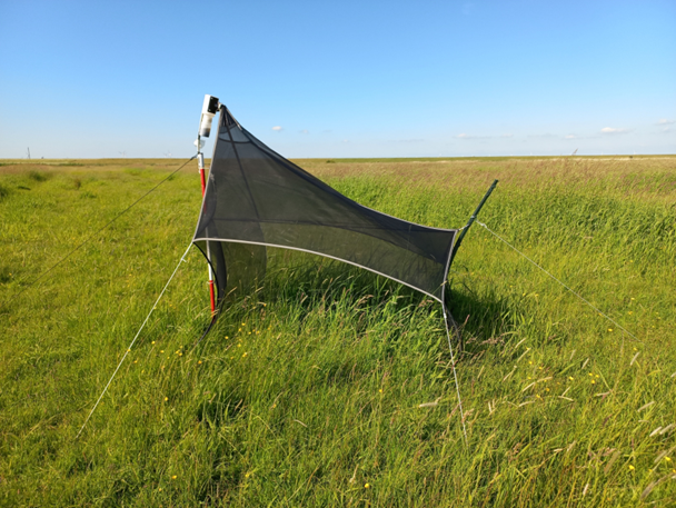 Malaise trap used for the monitoring of flying insects. Photo: G. Lagendijk/RUG