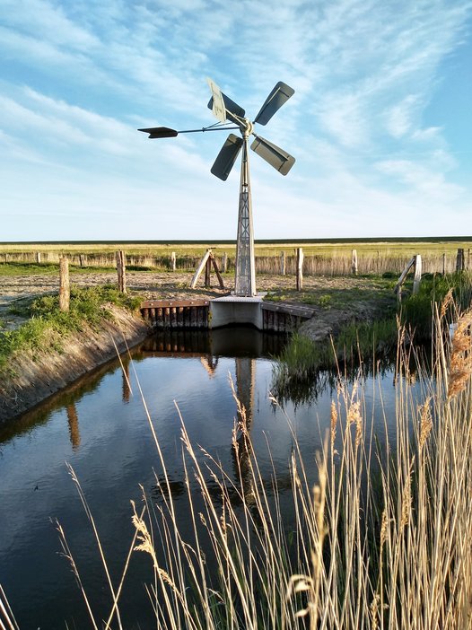 In multiple project areas, wind pumps are used for regulating water levels. Photo: J. Ludwig/NLWKN