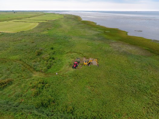 A tidal pond is being recreated in the Unterelbe project area. Photo: J. Ludwig/NLWKN