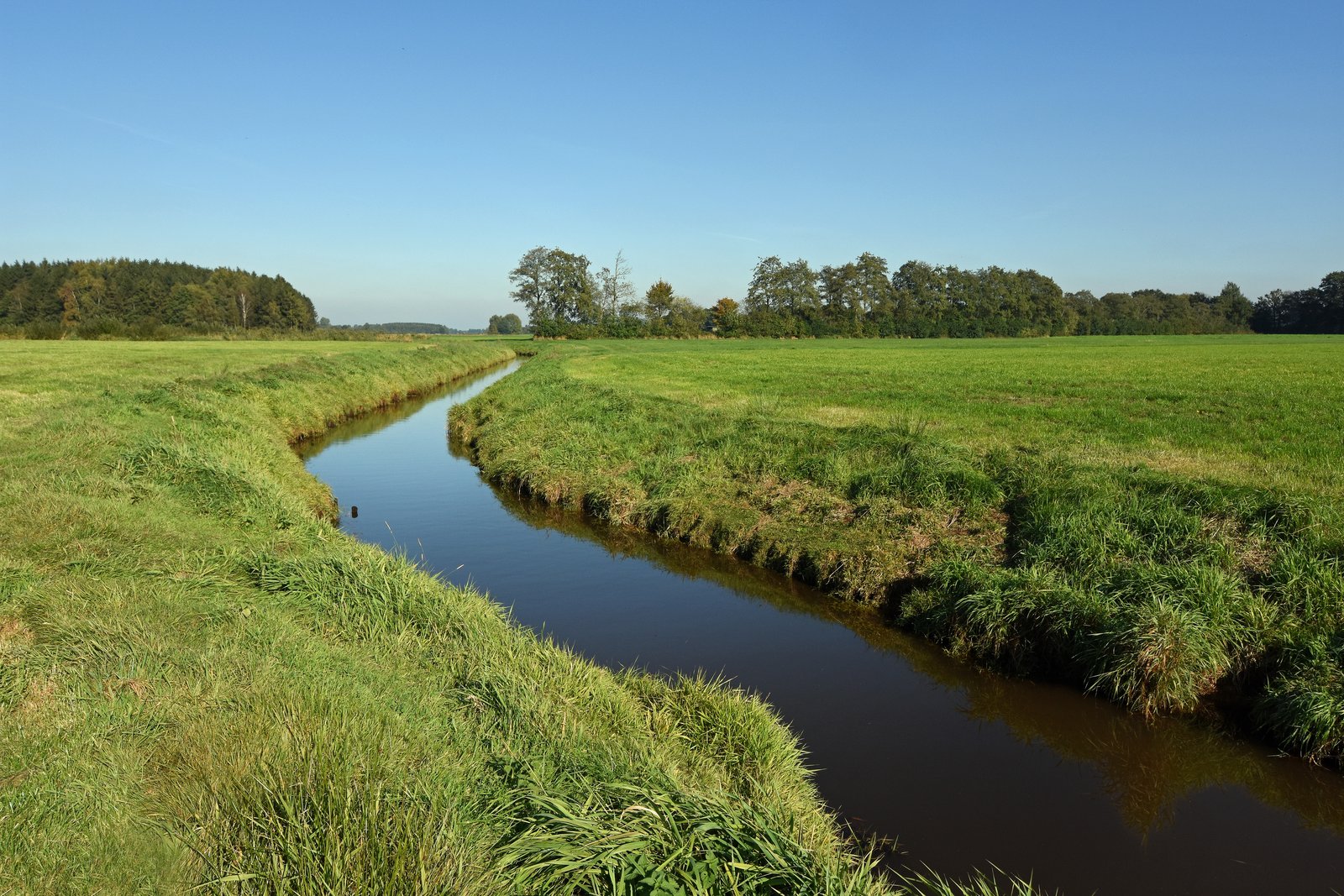 Project area V66 in Lower Saxony: Short vegetation along a river. Photo: H.-J. Zietz/NLWKN