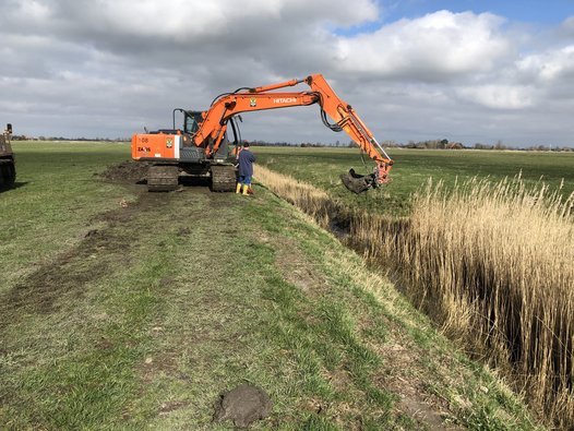 This ditch in the Butjadingen project area is being cleared and prepared for the installation of a weir. Weirs are used to retain water in the project areas. Photo: S. Haack/NLWKN