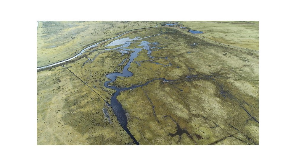 Water retention on the island of Borkum from a bird's eye view. This measure was implemented in the precursor project LIFE Meadow Birds. Photo: M. Riegler