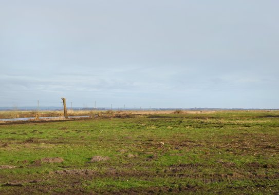 Open grassland landscape.