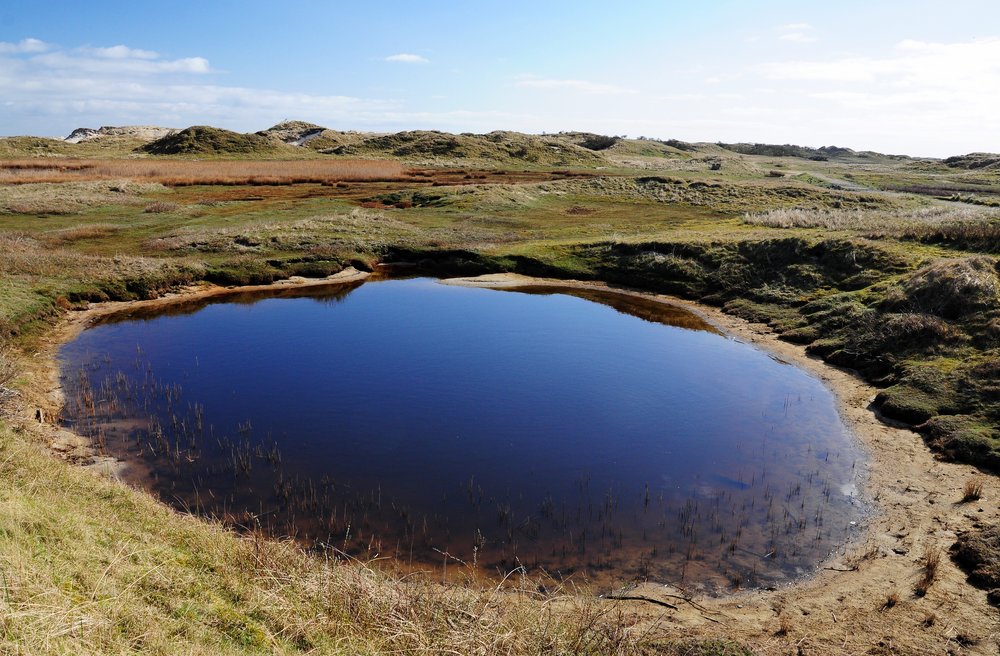 Project area Wadden Sea National Park: Tide pool among the dunes. Photo: H.-J. Zietz/NLWKN