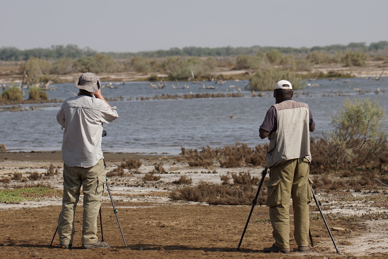 Dr. Johannes Melter (BIOCON) and the local bird guide Idrissa Ndiaye observe meadow birds in the Djoudj National Park, Senegal. Photo: C. Marlow/NLWKN