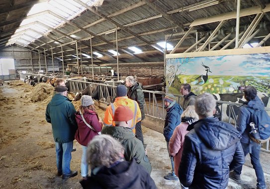 A group of people are standing in a cowshed. Cows can be seen in the background. On the right of the picture is a hand-painted wall with various birds.
